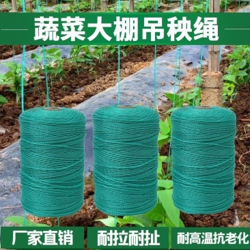 吊秧绳黄瓜西红柿蔬菜大棚吊蔓绳尼龙绳耐磨农用抗老化