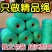 吊秧绳黄瓜西红柿蔬菜大棚吊蔓绳尼龙绳耐磨农用抗老化