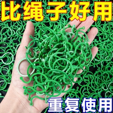 黄瓜西红柿豆角爬藤绑枝8字夹绿植蔬菜捆藤蔓专用