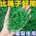 黄瓜西红柿豆角爬藤绑枝8字夹绿植蔬菜捆藤蔓专用