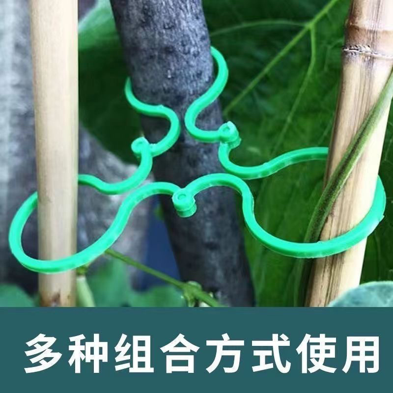 黄瓜西红柿豆角爬藤绑枝8字夹绿植蔬菜捆藤蔓专用