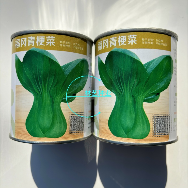 福冈青梗菜种子早生不结球白菜耐温耐湿丰产束腰青菜种子
