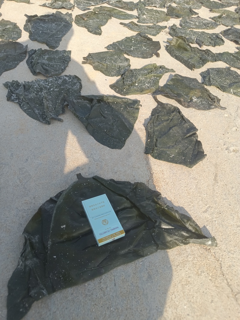 山东半干海带头全国发货，赶大集，地摊货，专用一次合作终身