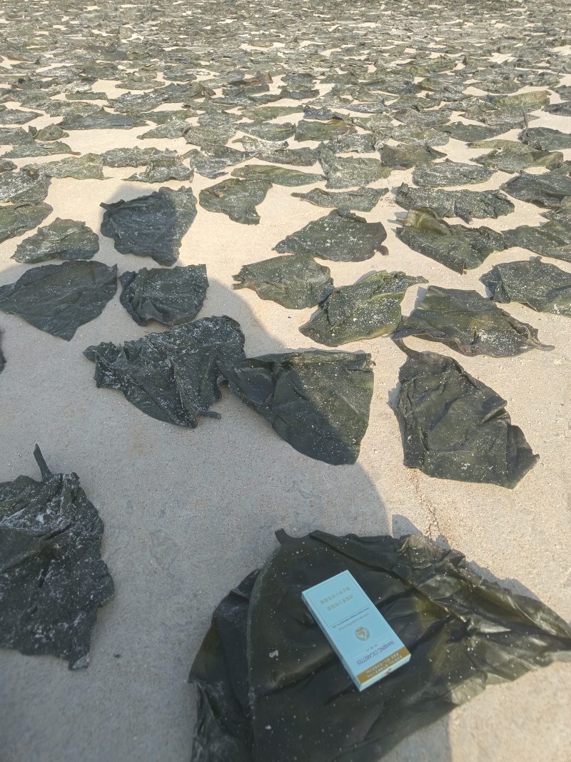 山东半干海带头全国发货，赶大集，地摊货，专用一次合作终身