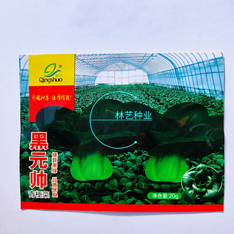 青硕黑元帅青梗菜种子矮萁黑绿苏州青种籽矮脚青菜种子