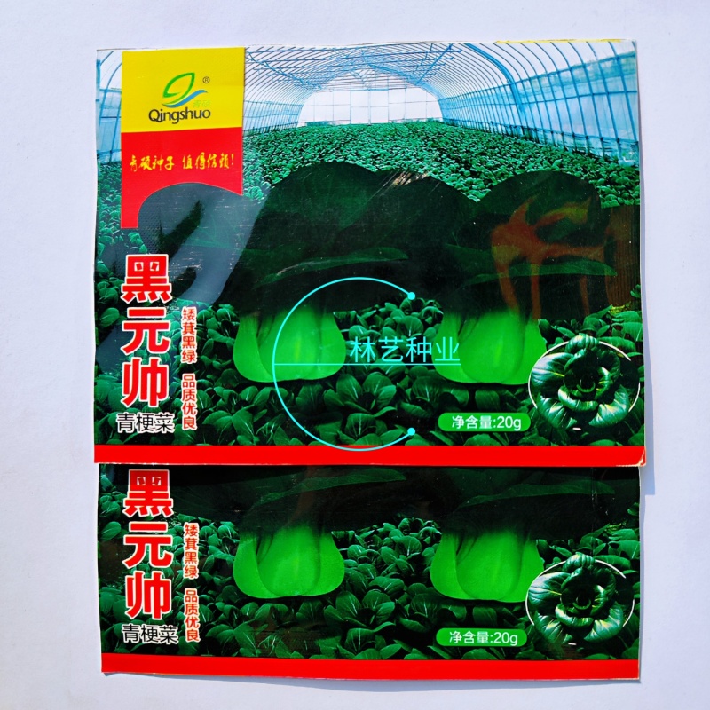 青硕黑元帅青梗菜种子矮萁黑绿苏州青种籽矮脚青菜种子