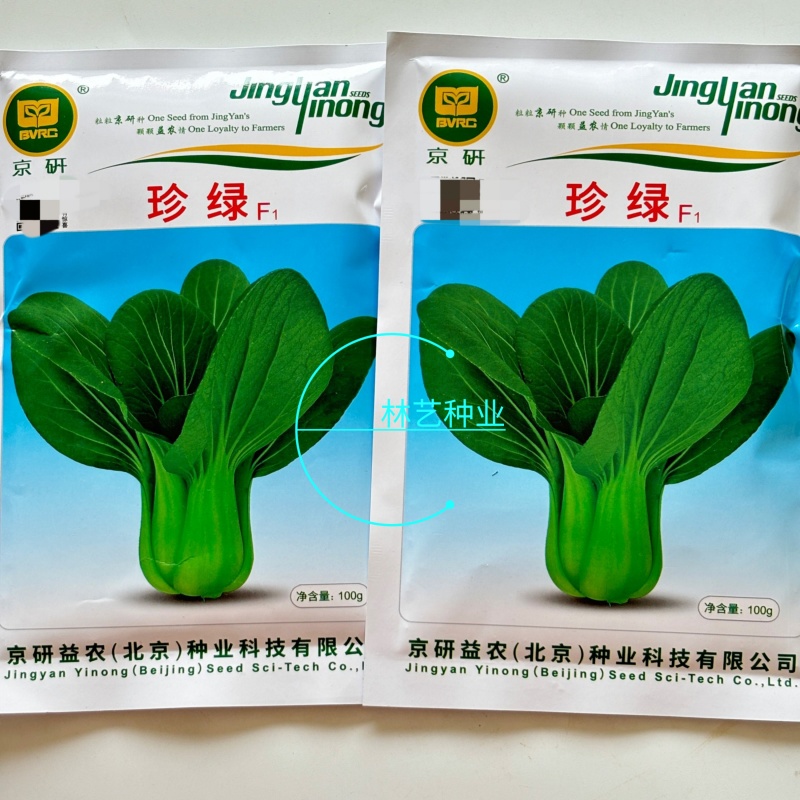 珍绿青梗菜种子四季油菜种籽杂交抗病春秋油绿青菜小油菜蔬菜