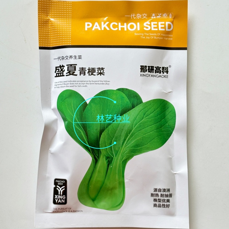 盛夏青梗菜小白菜种子抗病抗热耐寒耐雨四季播种可盆栽小青菜