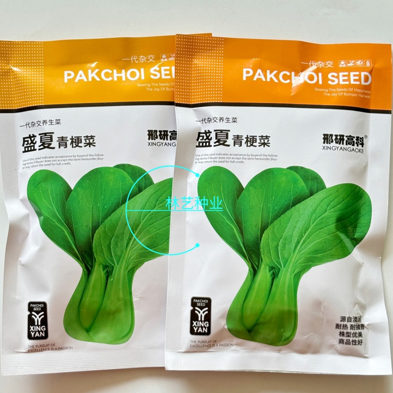 盛夏青梗菜小白菜种子抗病抗热耐寒耐雨四季播种可盆栽小青菜
