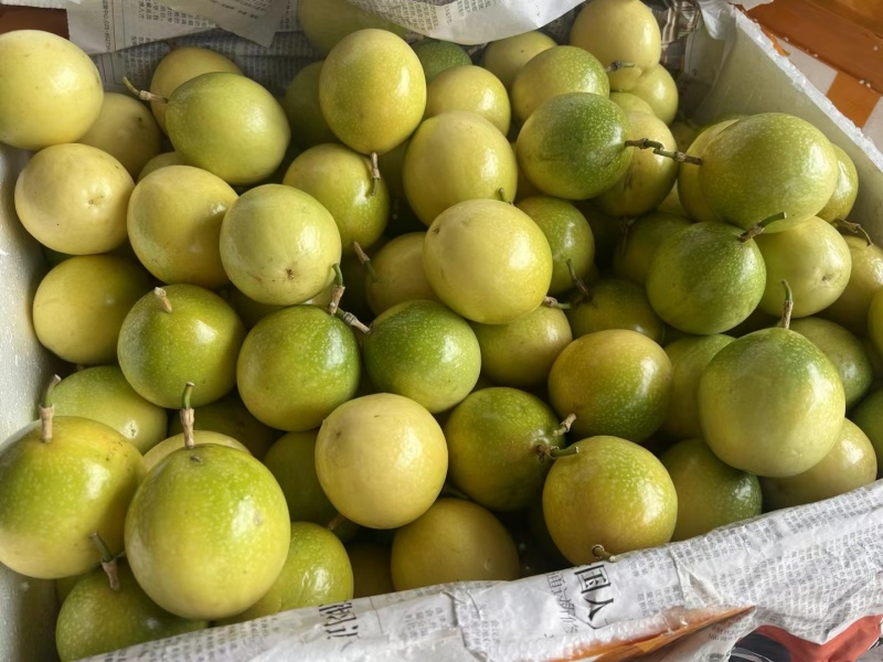 黄金百香果