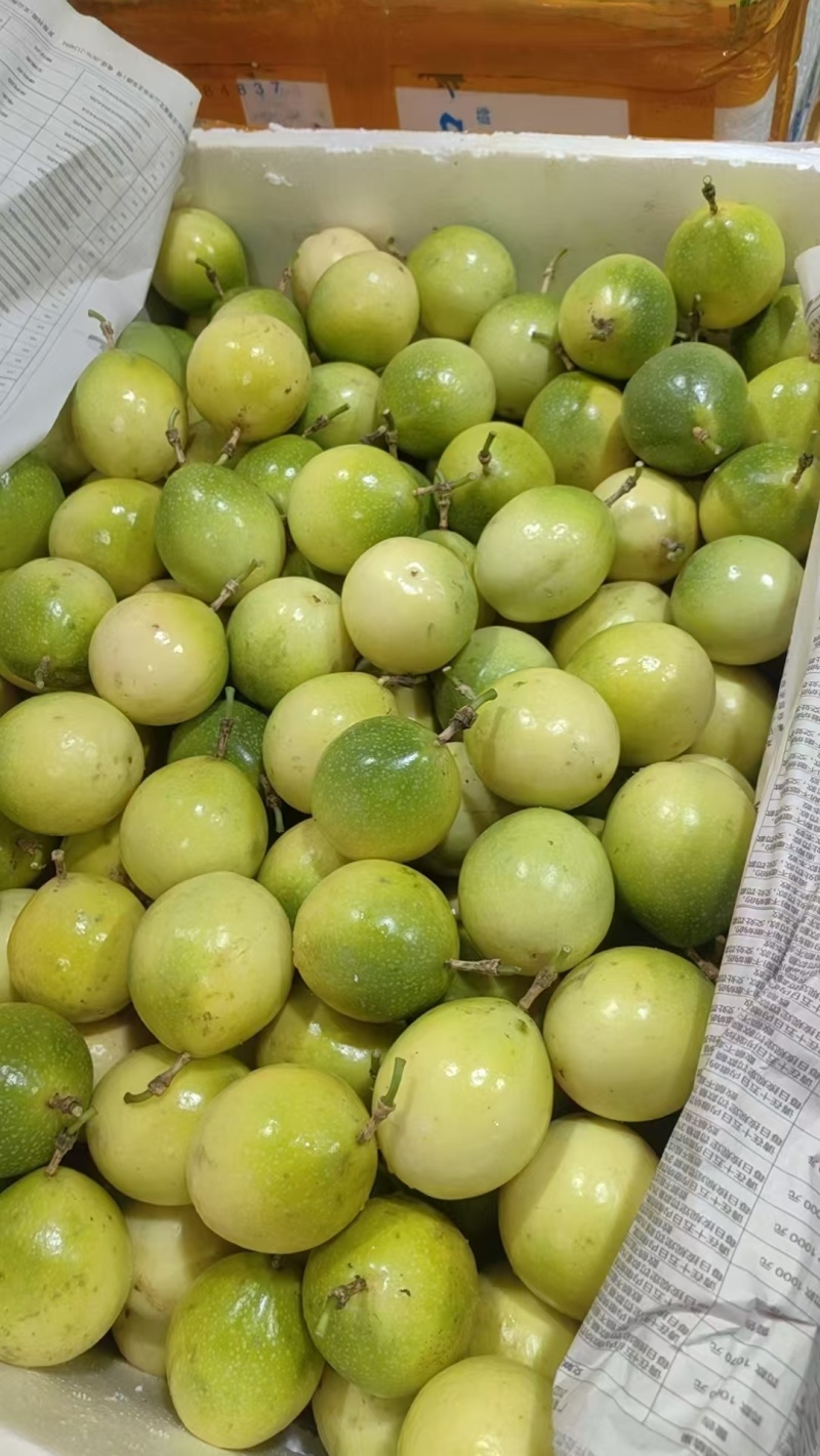 黄金百香果