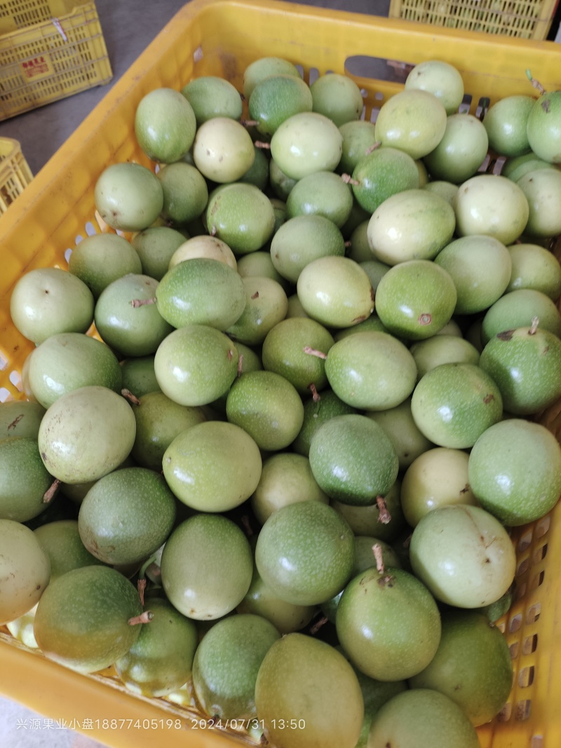 黄金百香果