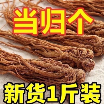 包邮）甘肃岷县整个当归500克新货当归个无硫统货当归
