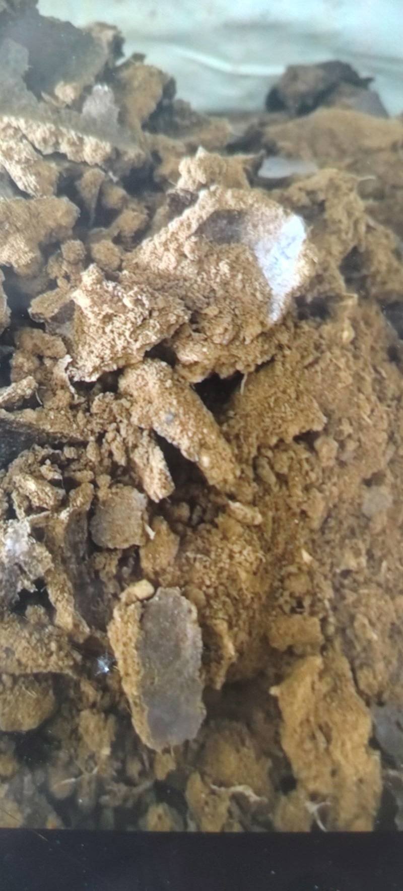 鸡猪肉粉，是做水产养殖等动物的**饲料原料