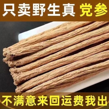 （包邮）甘肃新货党参当参散装500g农家种植农副产品可搭