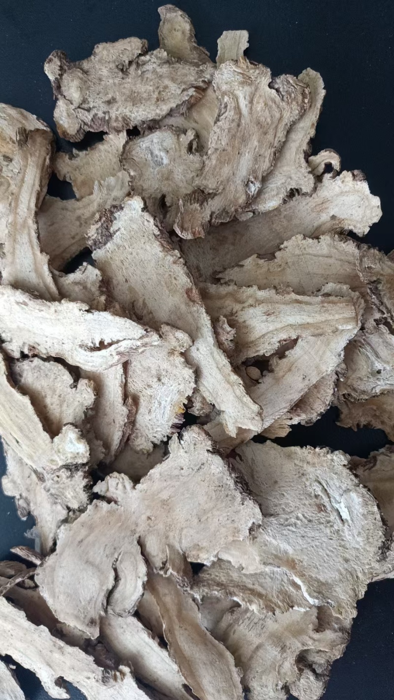 当归头片批发无硫精选当归头片500克样品全归头片批发中药
