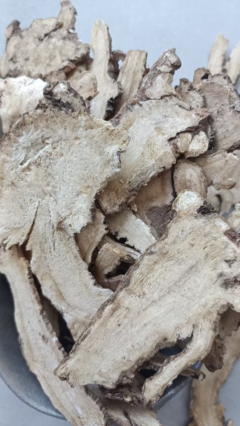 当归头片批发无硫精选当归头片500克样品全归头片批发中药