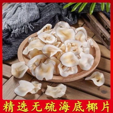 海底椰白片原色白片，香味更浓，海底椰片，淡淡的奶香和嚼劲
