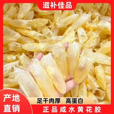 特价福利100头200头鸡蛋胶筒漂亮货色，清水无油，泡发