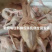 肉鸽，各种规模，大量有货，品质优势，好品牌