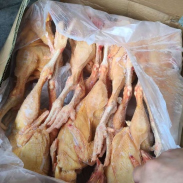 三黄鸡