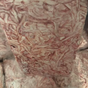 猪骨髓