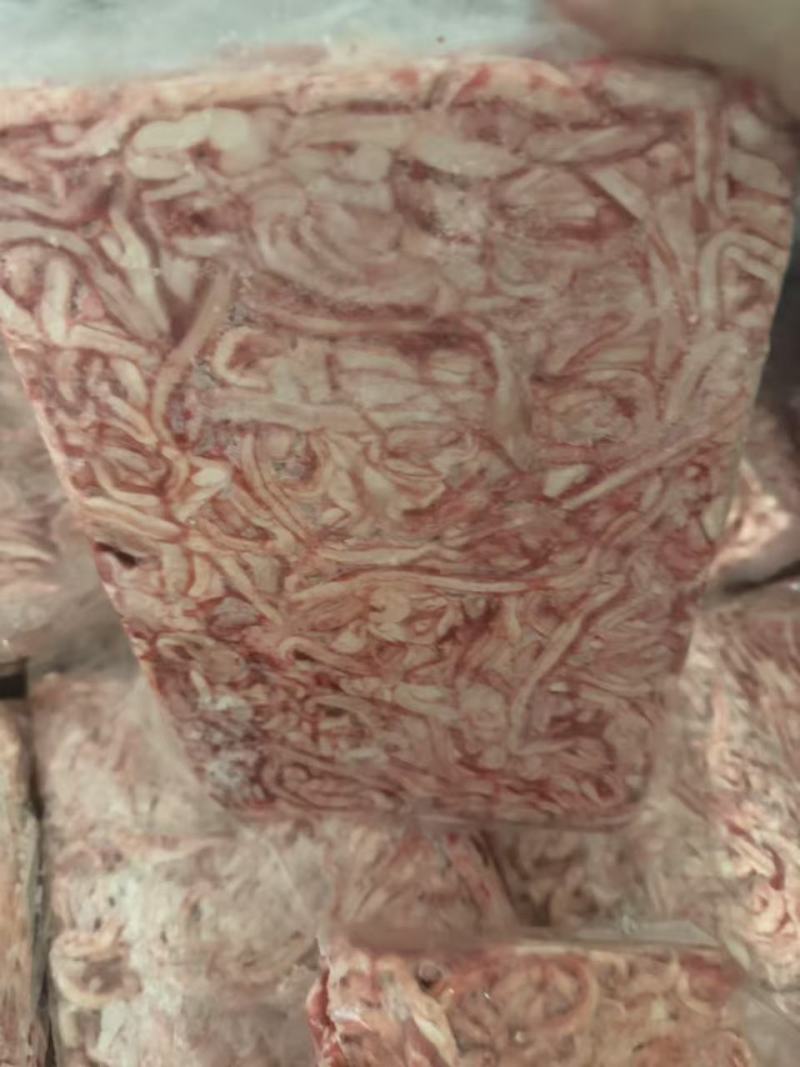 猪骨髓