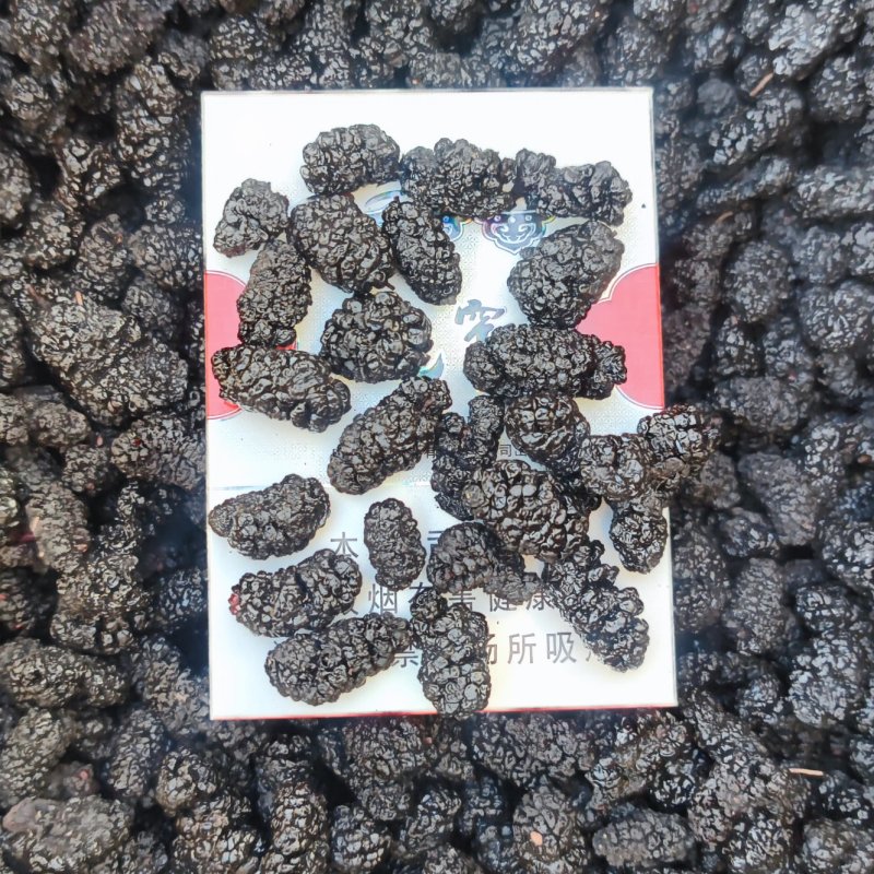 桑葚干黑桑籽干果电商平台供应花茶饮片药厂货泡酒一件代发