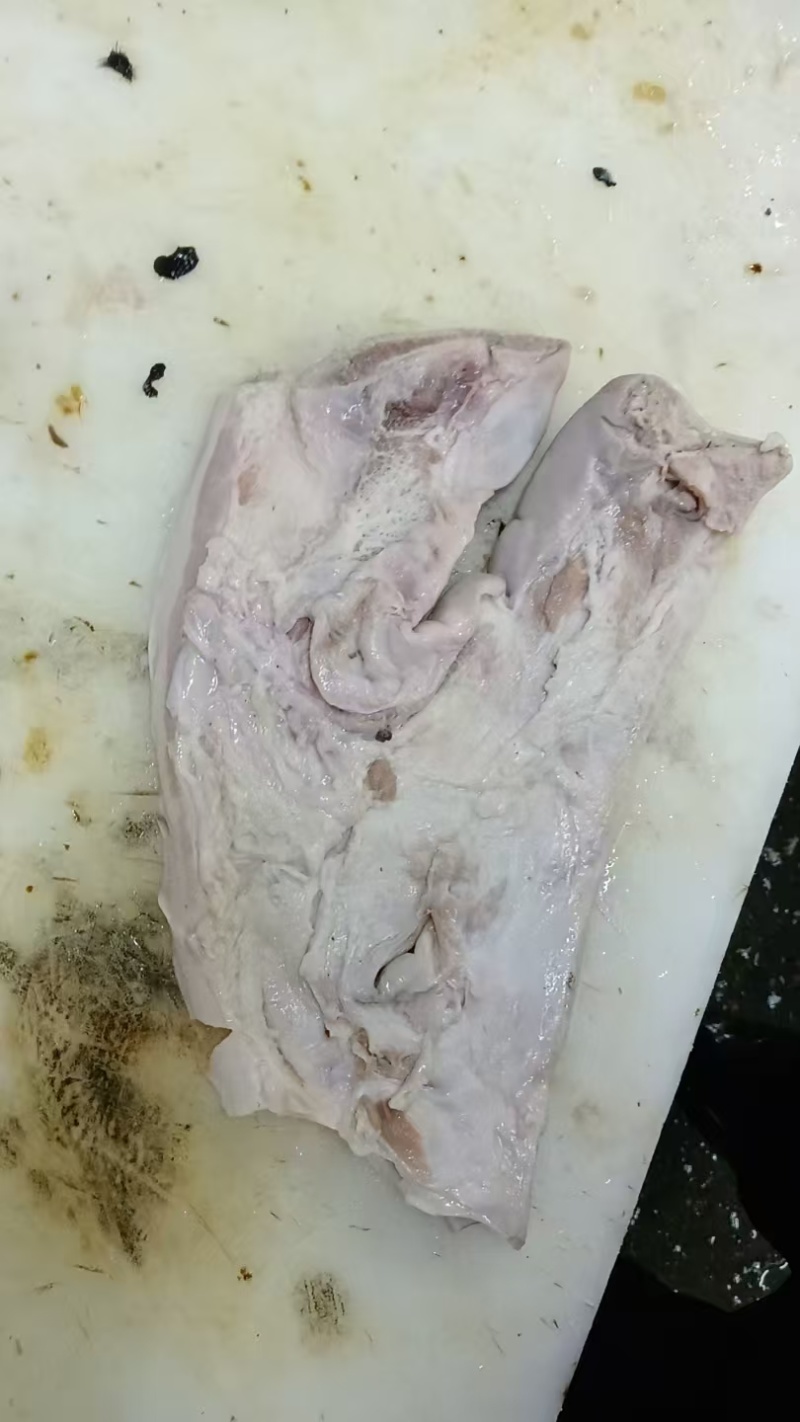 无耳猪头皮