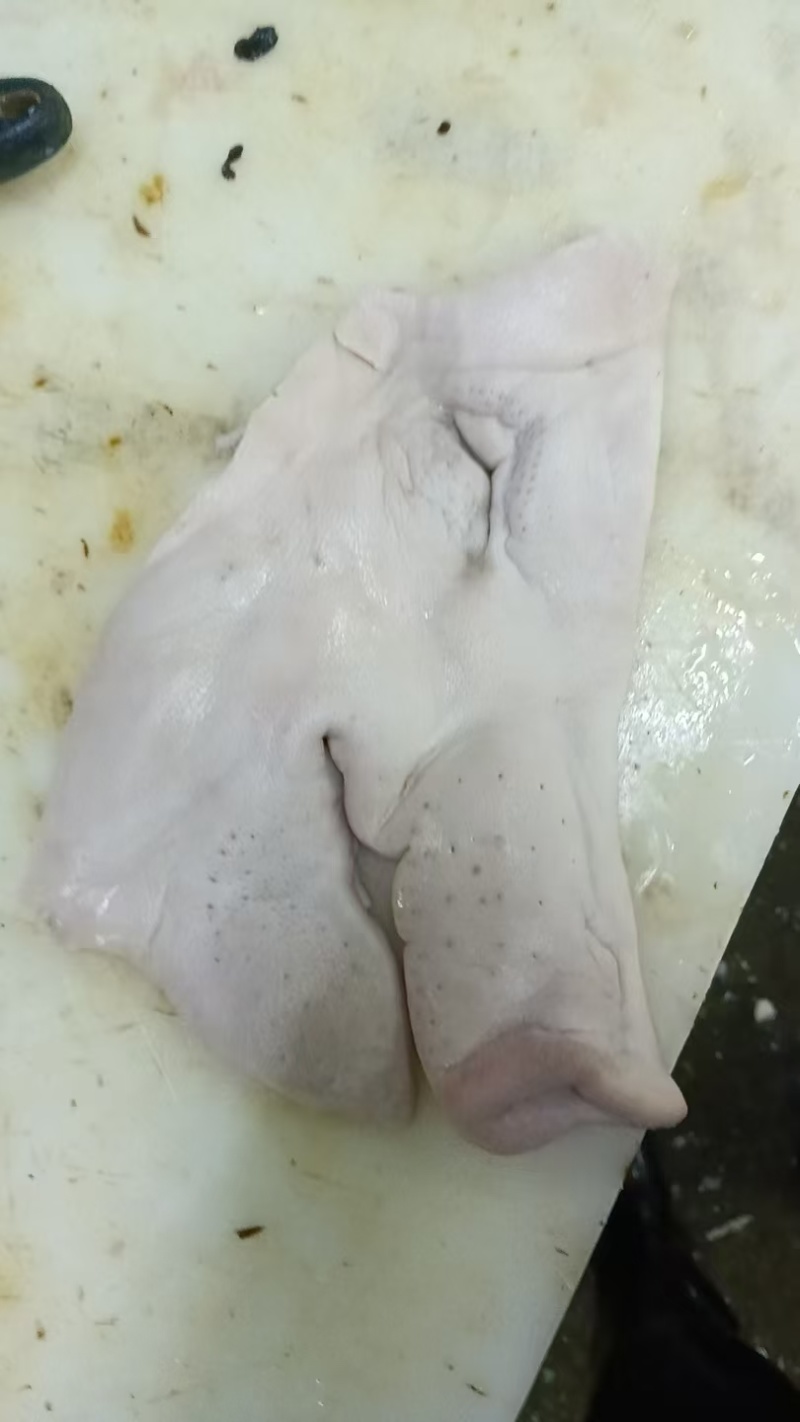 无耳猪头皮