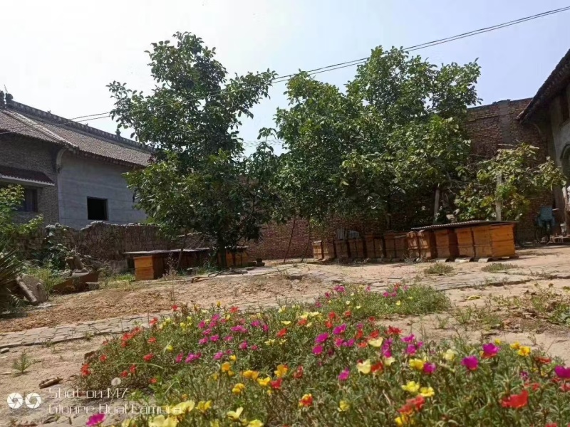 一手货源蜂蜜对接全国市场量大从优欢迎采购热卖中