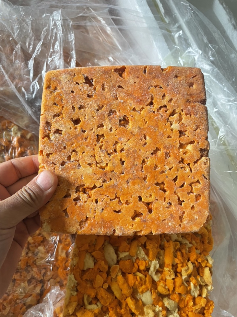马胆、马粪胆