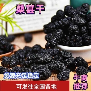 桑葚干黑桑籽干果电商平台供应花茶饮片药厂货泡酒一件代发