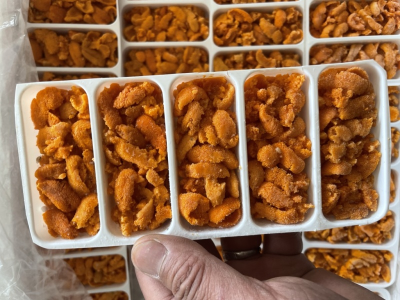 马粪胆