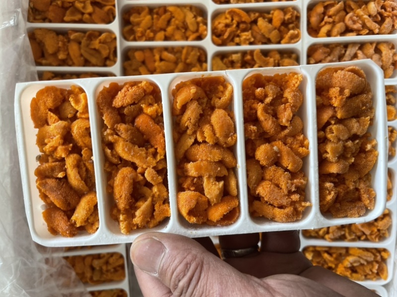 马粪胆