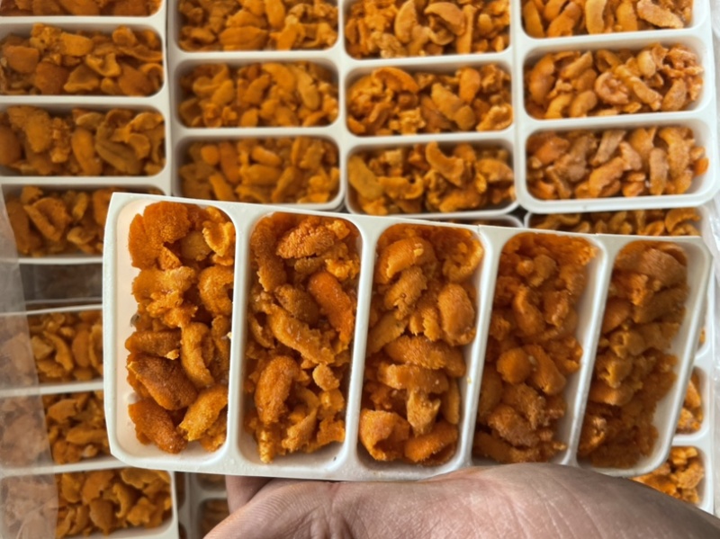 马粪胆