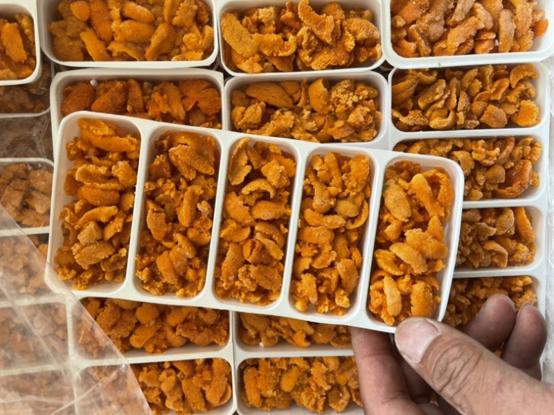 马粪胆