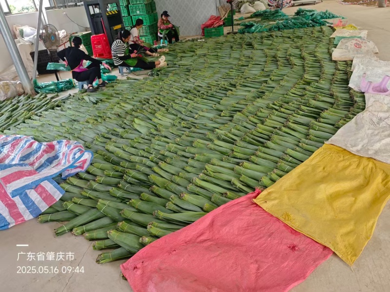 精品粽子芒叶