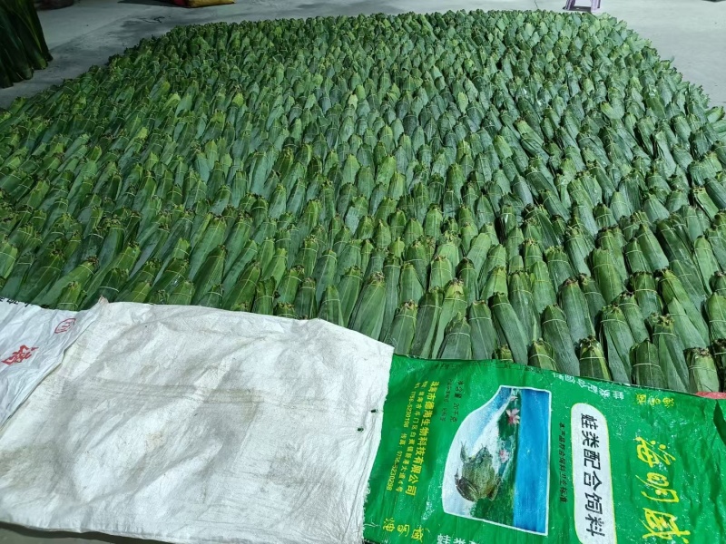 精品粽子芒叶