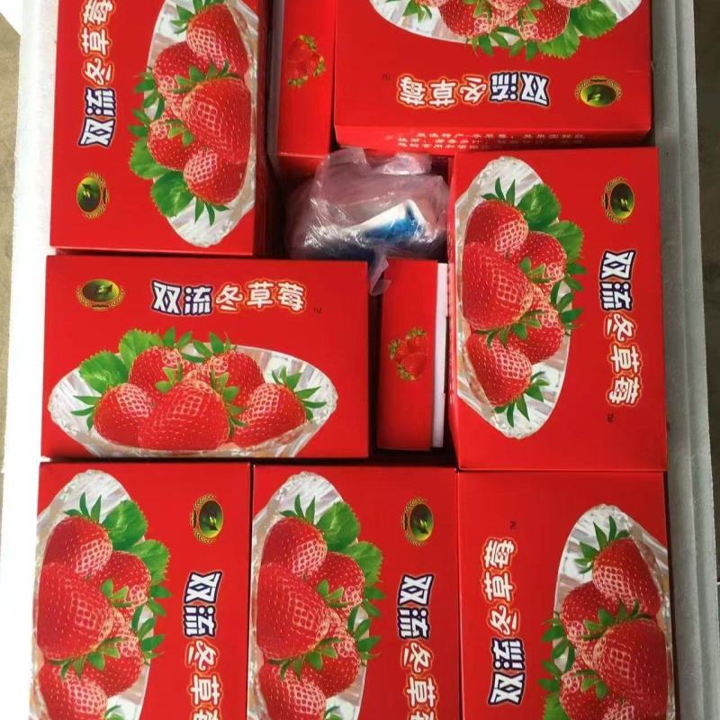 精品蒙特瑞草莓云南基地直发品质保障诚信经营
