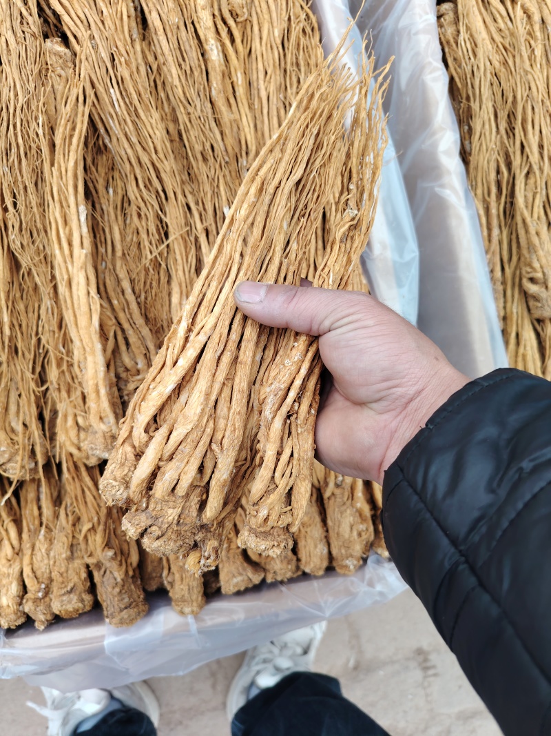 精品优质水洗当归中条