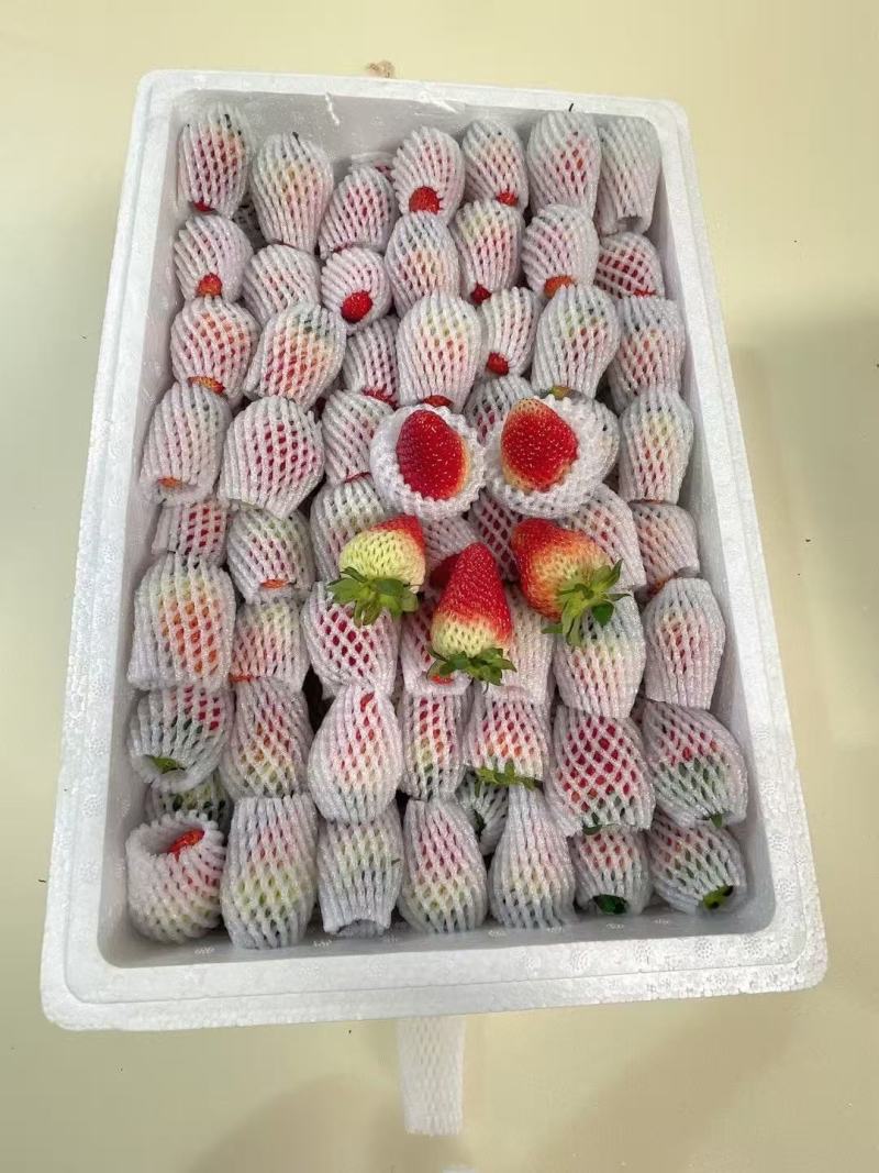 精品蒙特瑞草莓云南基地直发品质保障诚信经营