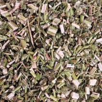 益母草