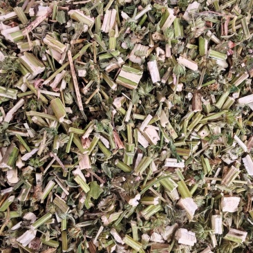 益母草