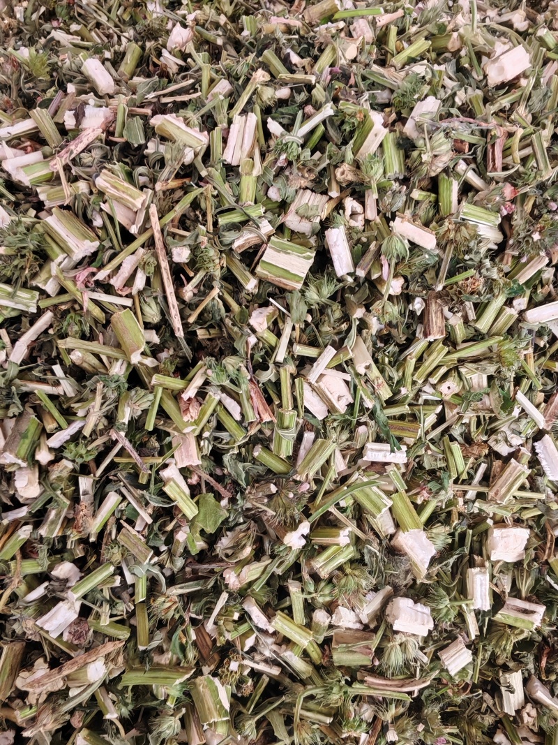 益母草
