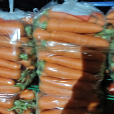 三红胡萝卜河南开封精品胡萝卜大量上市，货源充足，长期供货