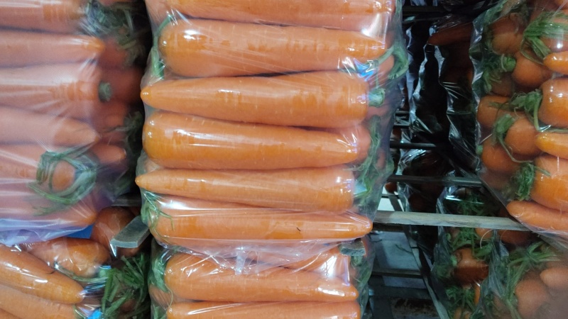 三红胡萝卜河南开封精品胡萝卜大量上市，货源充足，长期供货