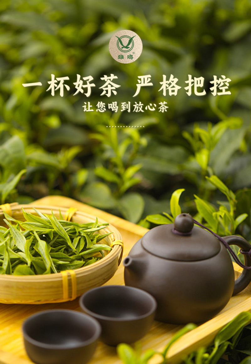 雄鸥蒸青绿茶春茶金萱毛尖礼盒装