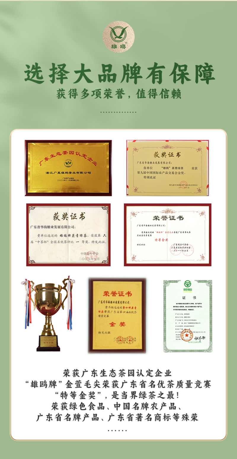 雄鸥蒸青绿茶春茶金萱毛尖礼盒装