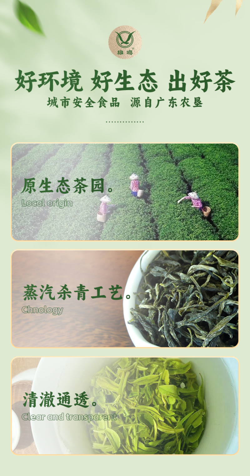 雄鸥蒸青绿茶春茶金萱毛尖礼盒装